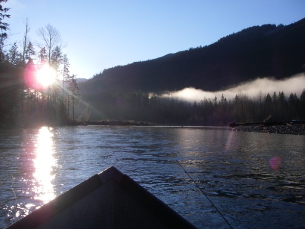 Sauk Skagit Steel (3).jpg Sauk Skagit Steel (3).jpg